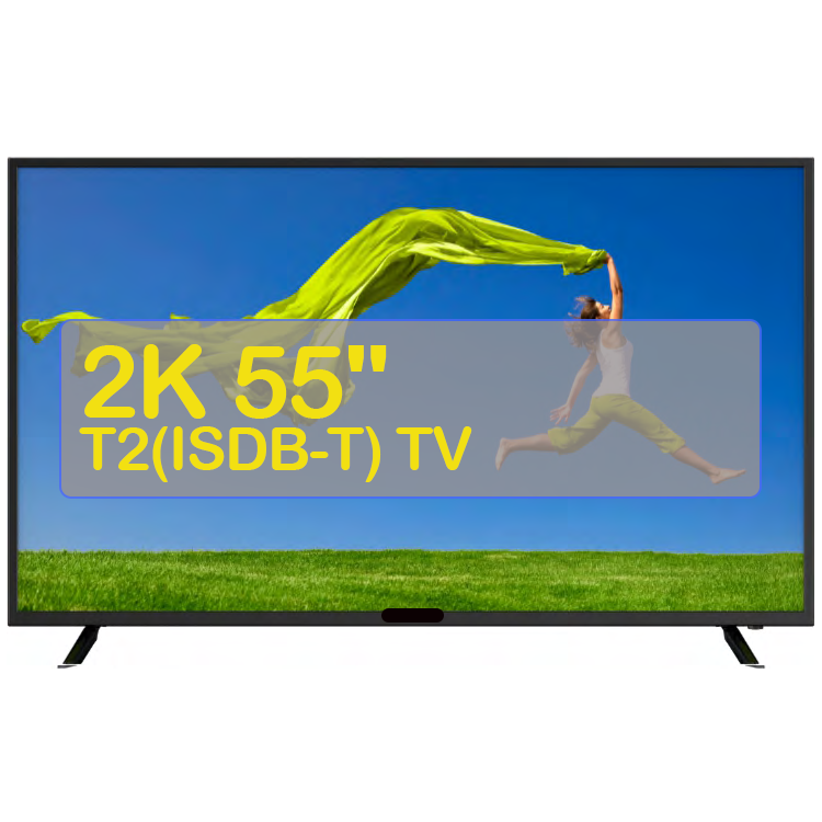 55 T2(ISDB-T) TV.png